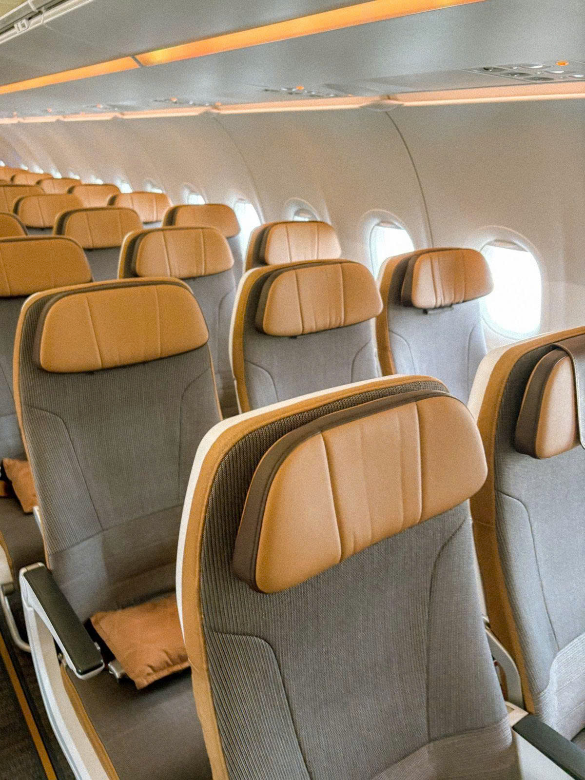 Khoang cabin STARLUX