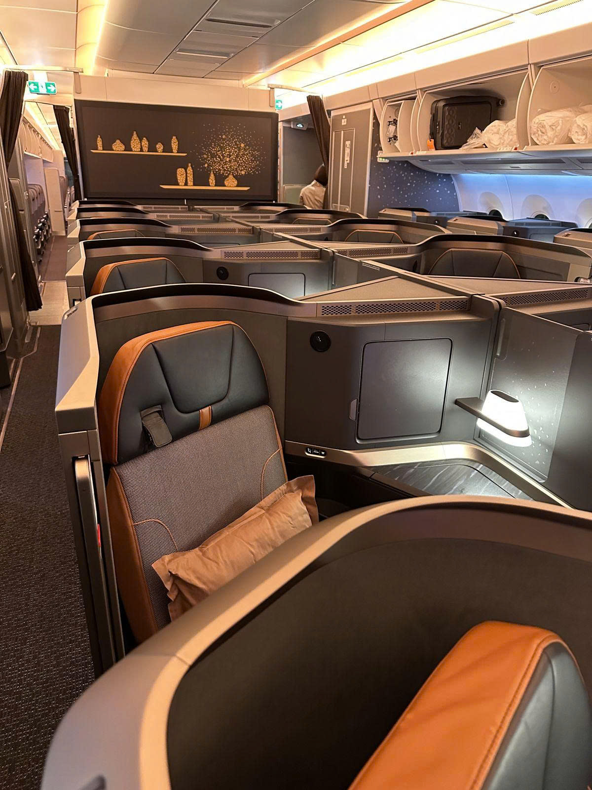 STARLUX Airlines Cabin